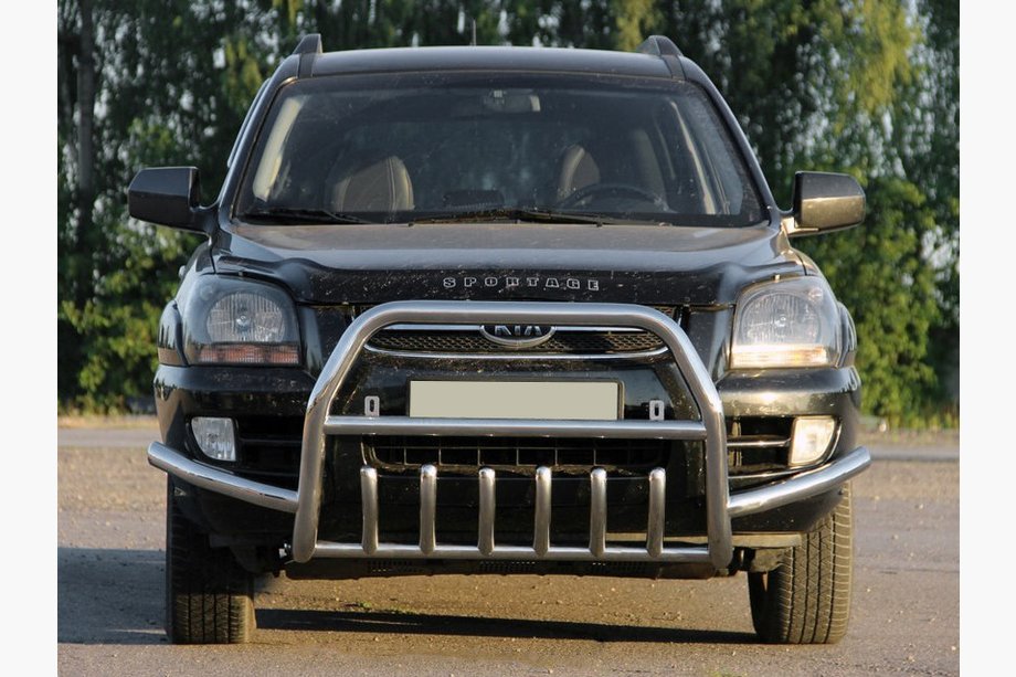 Кенгурятник WT003 Special (нержавейка) Image