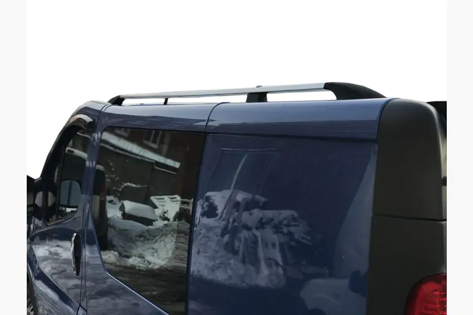 Opel Vivaro 2001–2015 гг. Рейлинги Хром (пластиковые ножки) Image