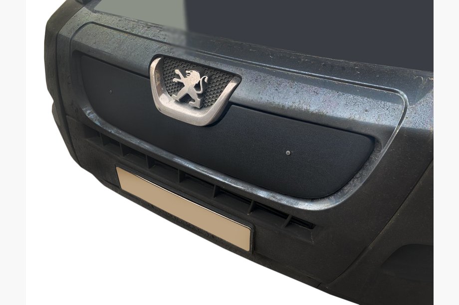 Зимняя решетка (2006-2014) Image