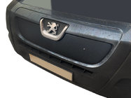 Зимняя решетка (2006-2014) фото 1