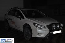 Кенгурятник WT018 (нержавейка) фото 3 Кенгурятник WT018 (нержавейка) фото 3