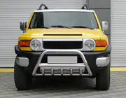 Toyota FJ Cruiser 2006-2022 гг. Кенгурятник WT003 (нержавейка) фото 1