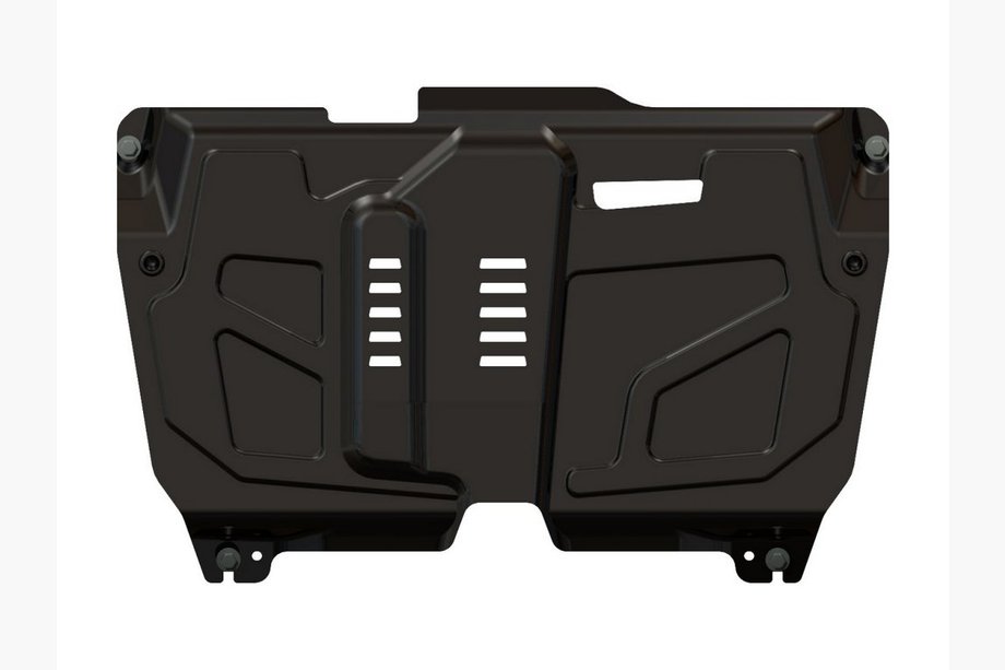 Защита картера (2мм, сталь) Image