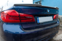 Спойлер Meliset Bat (под покраску) фото 4