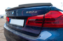 Спойлер Meliset Bat (под покраску) фото 5