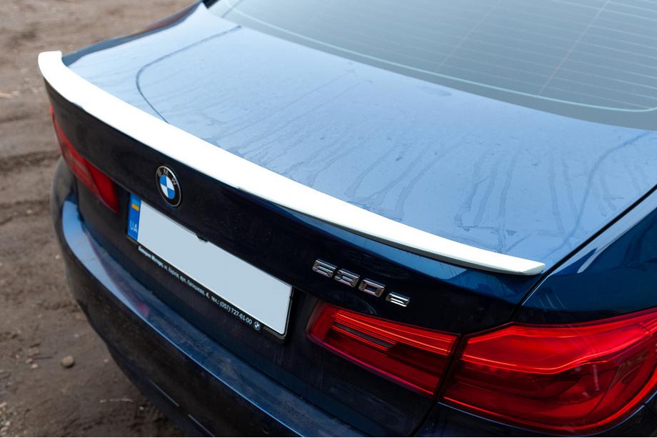 Спойлер Meliset Bat (под покраску) Image