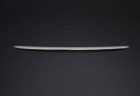 Накладка на передний бампер OmsaLine (2021+, нержавейка) фото 1 Накладка на передний бампер OmsaLine (2021+, нержавейка) фото 1