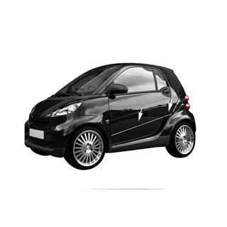 Молдинги на двери нержавейка (4 шт) Smart 2007-2014 гг. фото 1