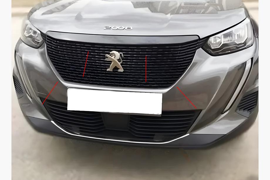 Окантовка решетки радиатора (3 шт, нержавейка) Image