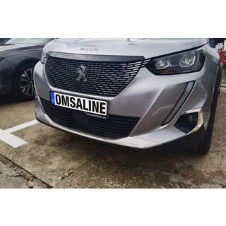 Peugeot 2008 2019↗︎ Накладка на передний бампер (2 шт, нерж)