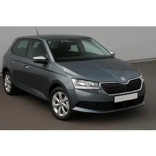 Накладки на зеркала с вырезом под поворотник (2 шт, нержавейка) Skoda Fabia 2014-2021 гг. фото 1