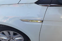 Renault Megane IV 2016-2025 гг. Накладки на указатели поворота 2021+ (2 шт, нержавейка) фото 1