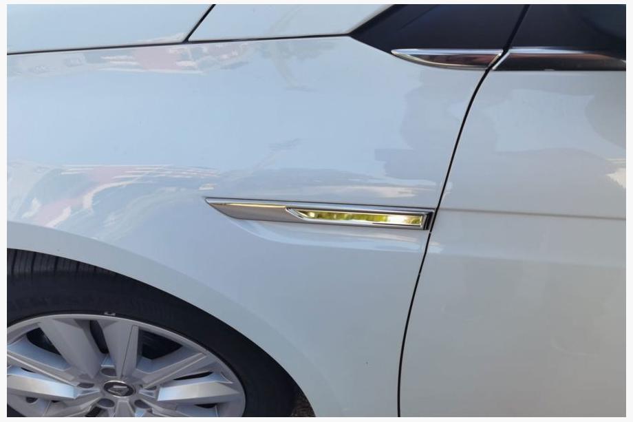 Renault Megane IV 2016-2025 гг. Накладки на указатели поворота 2021+ (2 шт, нержавейка) Image