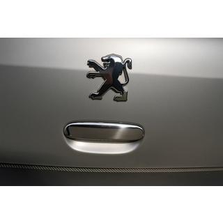Хром на ручку багажника Peugeot 307 (Омса, сталь)