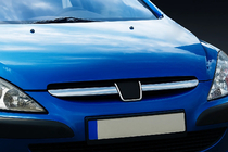 Хромированные накладки на решетку радиатора (2001-2005, 2 шт, нерж сталь) фото 1 Хромированные накладки на решетку радиатора (2001-2005, 2 шт, нерж сталь) фото 1