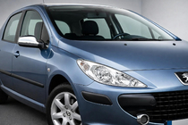 Peugeot 307 2001-2008 гг. Накладки на Зеркала (2 шт, Пластик) фото 1