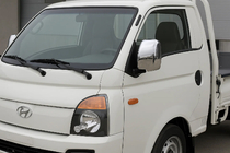 Накладки на Зеркала (2 шт, Пластик) фото 1