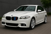 Вставки в решетку радиатора 2010-2013 (3 шт) фото 1