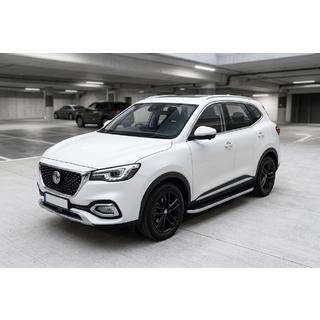 Боковые Подножки Tayga Grey (2 шт., Алюминий) фото 1