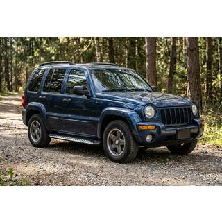 Боковые Подножки Shining V1 (2 шт., Алюминий) Jeep Cherokee/Liberty 2002-2007 гг. фото 1