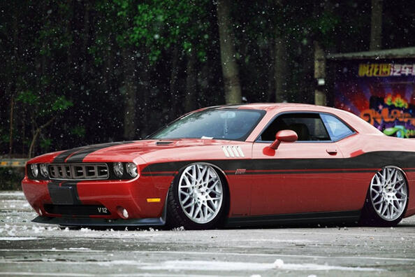 Тополиный пух: красиво, но опасно для вашего автомобиля