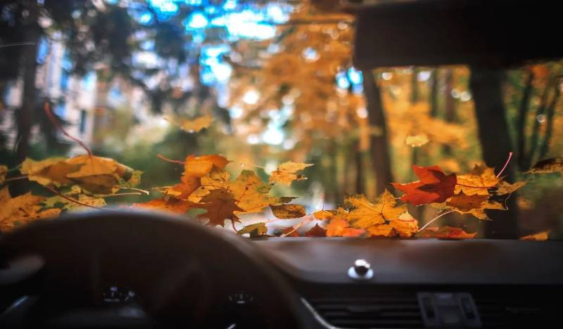 Как подготовить свой автомобиль к осени