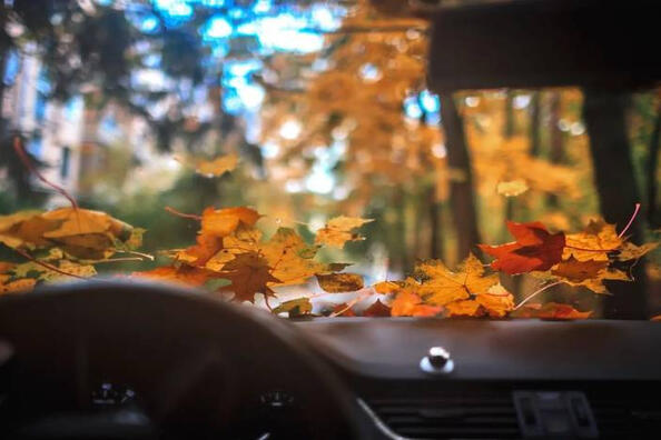 Как подготовить свой автомобиль к осени