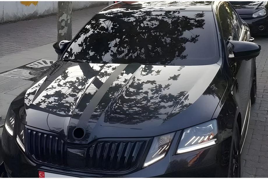 Skoda Superb 2015-2024 гг. Накладки на Зеркала BMW-Style (2 шт) Фото 6