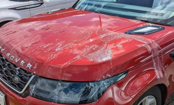 Что делать, если автомобиль облили краской или кислотой?