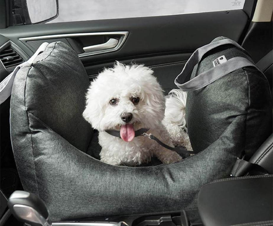 Путешествие с домашними животными: как сделать поездку приятной для вашего друга