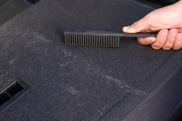 Лайфхаки для уборки шерсти домашних животных в автомобиле