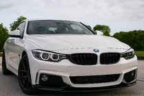 BMW 4 серия F32/F33/F36 2012-2020 гг. Ноздри M-Look (Черный Глянец) фото 1