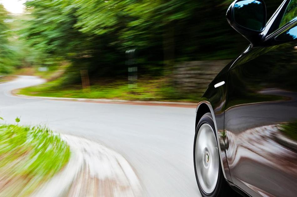 Плюсы и минусы разных видов повода: какой выбрать?