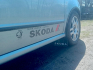 Универсальные брызговики Polytep (230*375, 2 шт) фото 4 Универсальные брызговики Polytep (230*375, 2 шт) фото 4