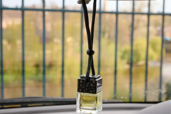 Как выбрать аромат в салон авто, который не будет раздражать?