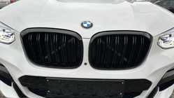 BMW X4 G02 2018- гг. Ноздри M-Look (Черный Глянец) фото 1