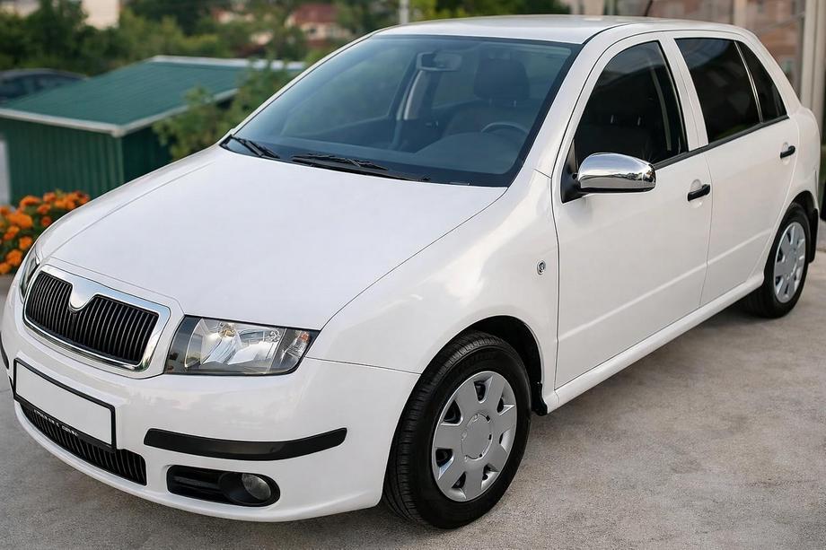 Skoda Fabia 2000-2007 гг. Накладки на Зеркала 2006↗ (2 шт, Нержавейка) Image