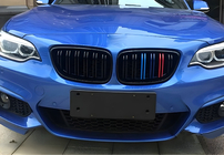 Решетки радиатора M-Look (M-Color) фото 3 Решетки радиатора M-Look (M-Color) фото 3