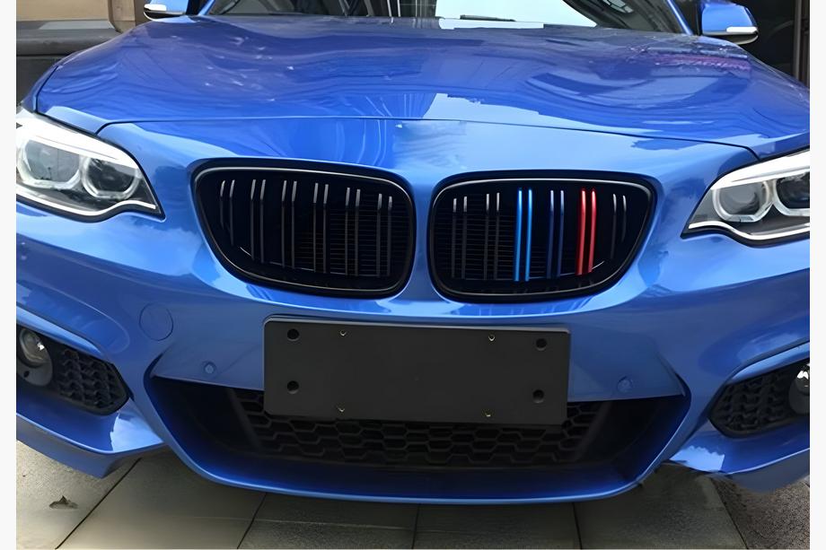 BMW 2 серия F22/F23 2014-2021 гг. Решетки радиатора M-Look (M-Color) Фото 3