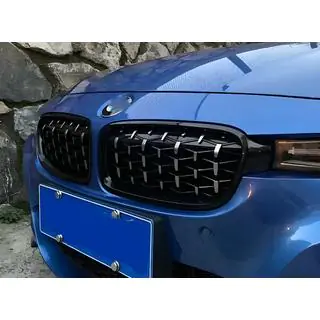 Ноздри Diamond Silver фото 1