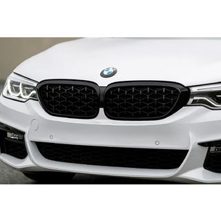 Ноздри Diamond Black V1 (2017-2020, черная окантовка) фото 1