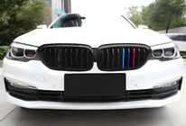 BMW 5 серия G30/G31 2017-2023 гг. Ноздри 1 Полоса (2017-2020, M-Color) фото 3