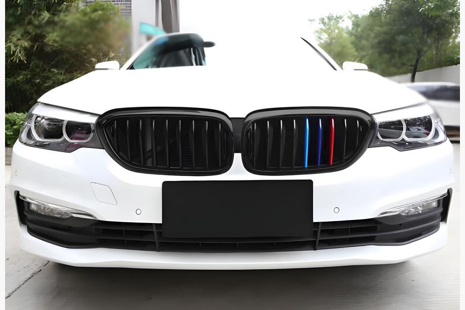 BMW 5 серия G30/G31 2017–2023 гг. Ноздри 1 Полоса (2017-2020, M-Color) Фото 3