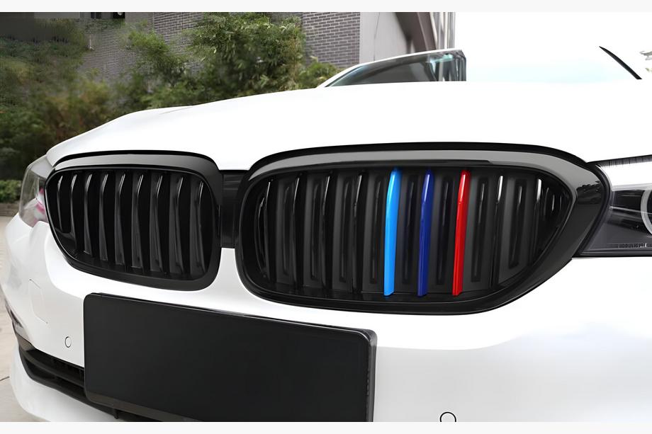 BMW 5 серия G30/G31 2017-2023 гг. Ноздри 1 Полоса (2017-2020, M-Color) Image