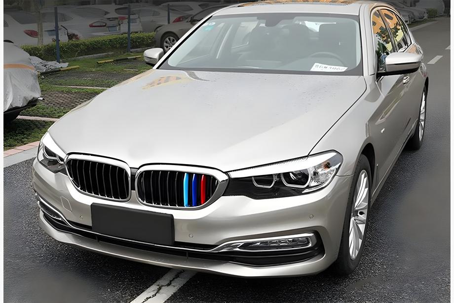 BMW 5 серия G30/G31 2017-2023 гг. Ноздри 1 Bar (2017-2020, M-Color с хромированной окантовкой) Image