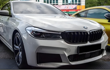 BMW 6 серия G32 2017- гг. Ноздри M-Look (2017-2020, Черный Глянец) фото 1
