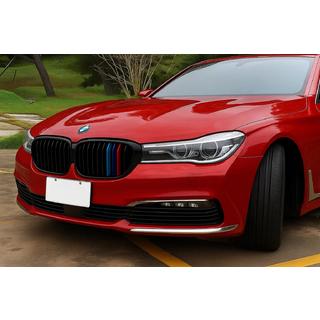 Ноздри 1 Bar (2016-2019, M-Color) BMW 7 серия G11/G12 2015-2022 гг. фото 1