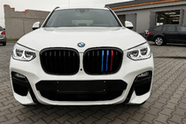 BMW X3 G01 2018- гг. Ноздри 1 Полоса (2018-2021, M-Color) фото 1