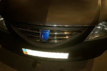 Накладки на решетку радиатора из нержавеющей стали фото 3