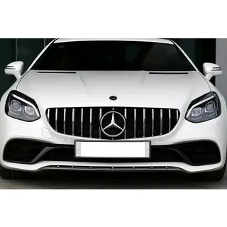 Передняя решетка GT Panamericana фото 4
